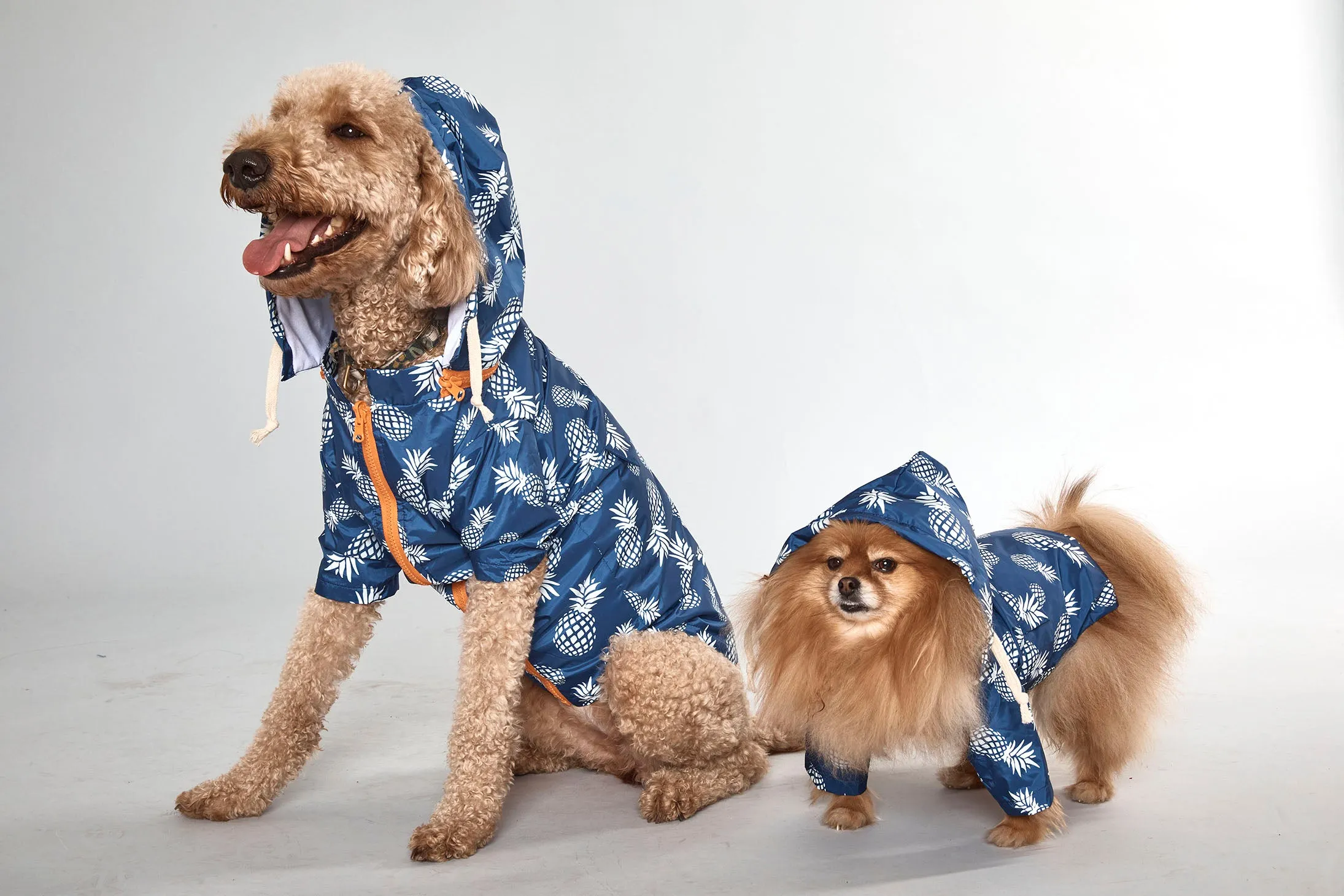 Blue Pineapple - Dog Raincoat