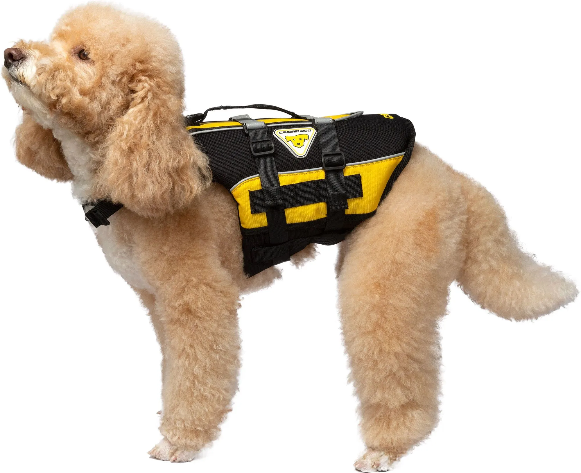 Dlj Dog Life Jacket