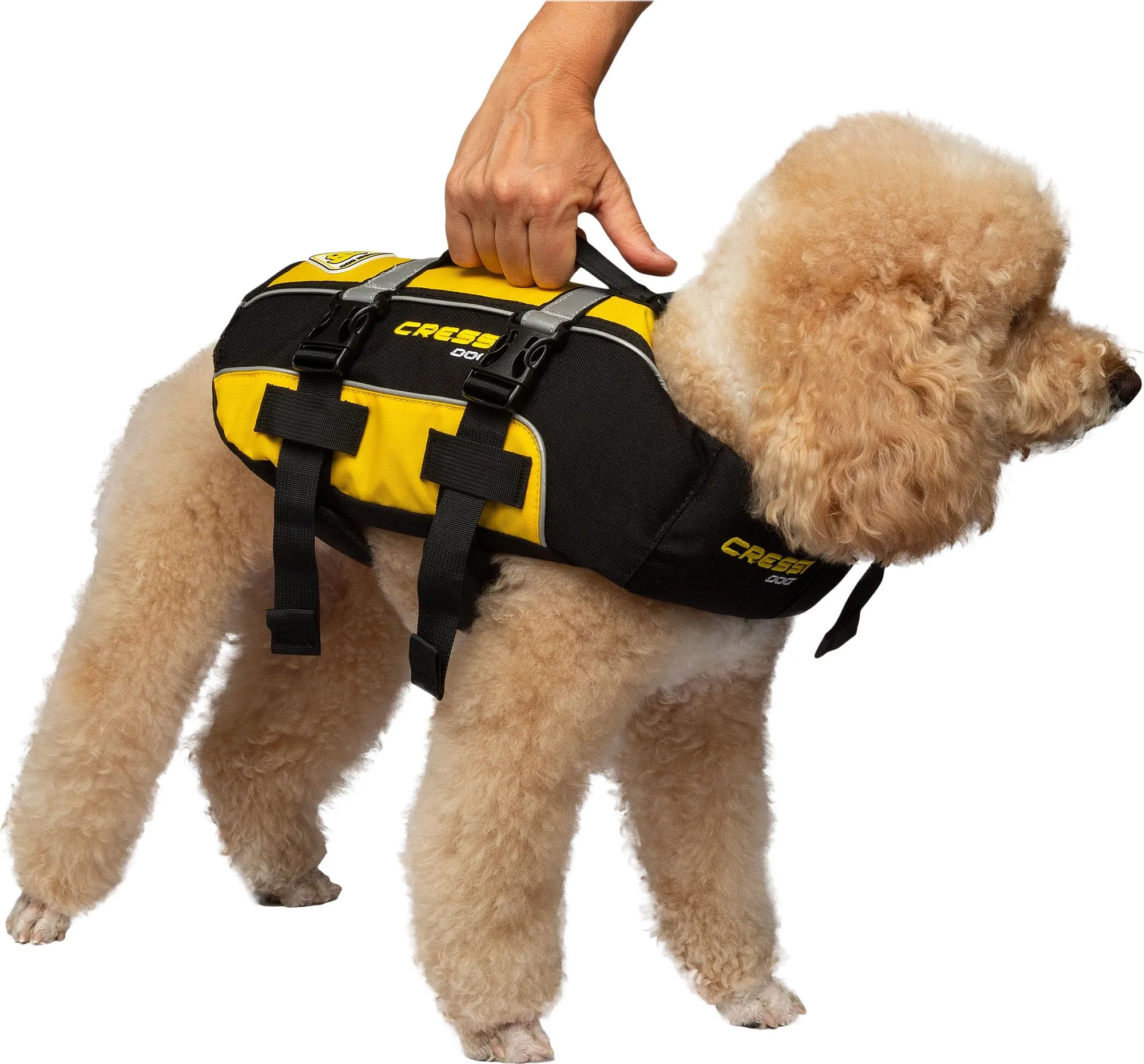 Dlj Dog Life Jacket