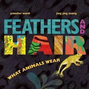 Feathers and Hair  What Animals Wear