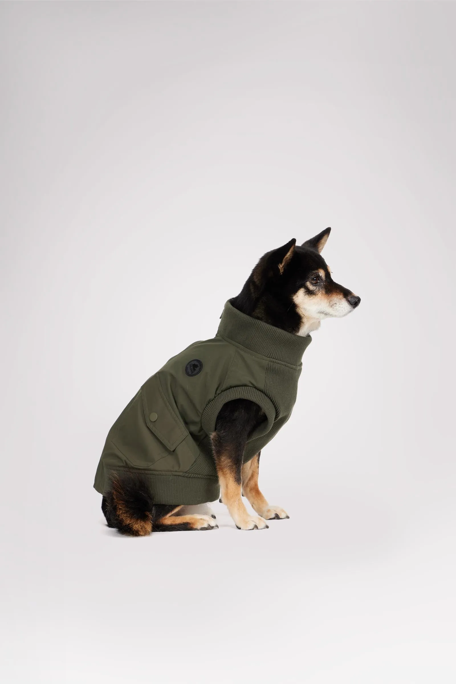 Marley Bomber Jacket for Dogs