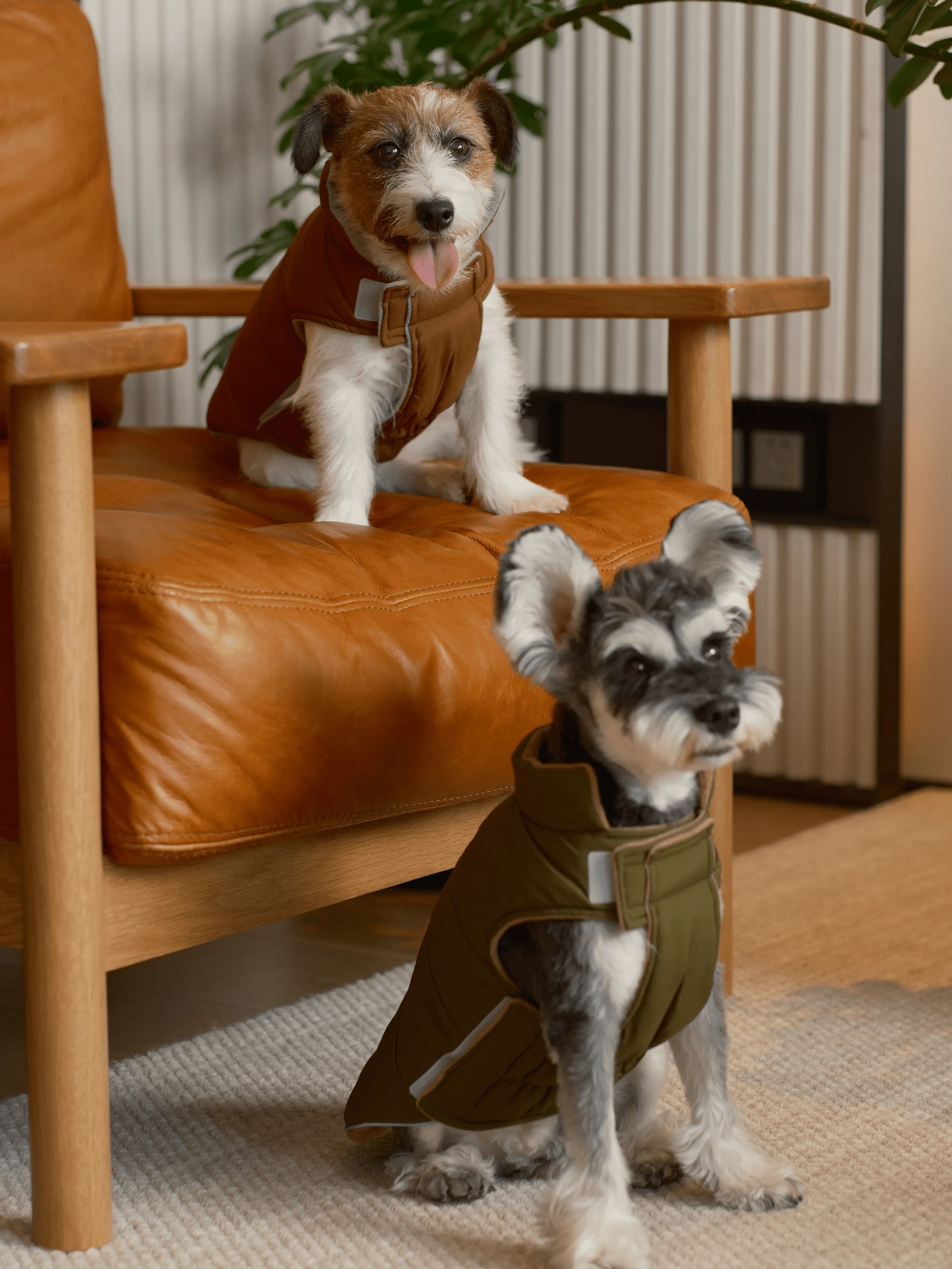 Reversible Dog Vest Jacket - Orange Grey