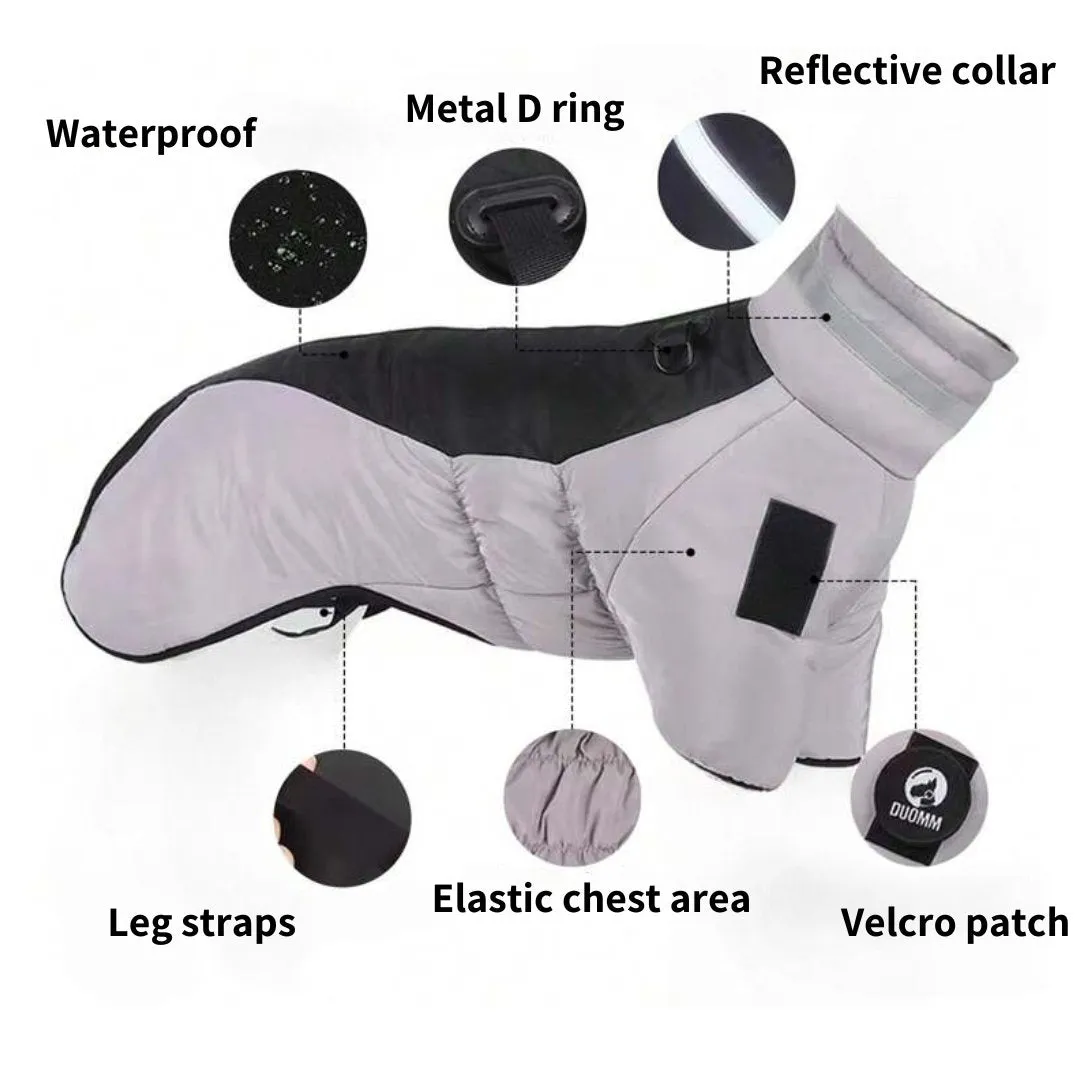 Warm Waterproof Dog Jacket