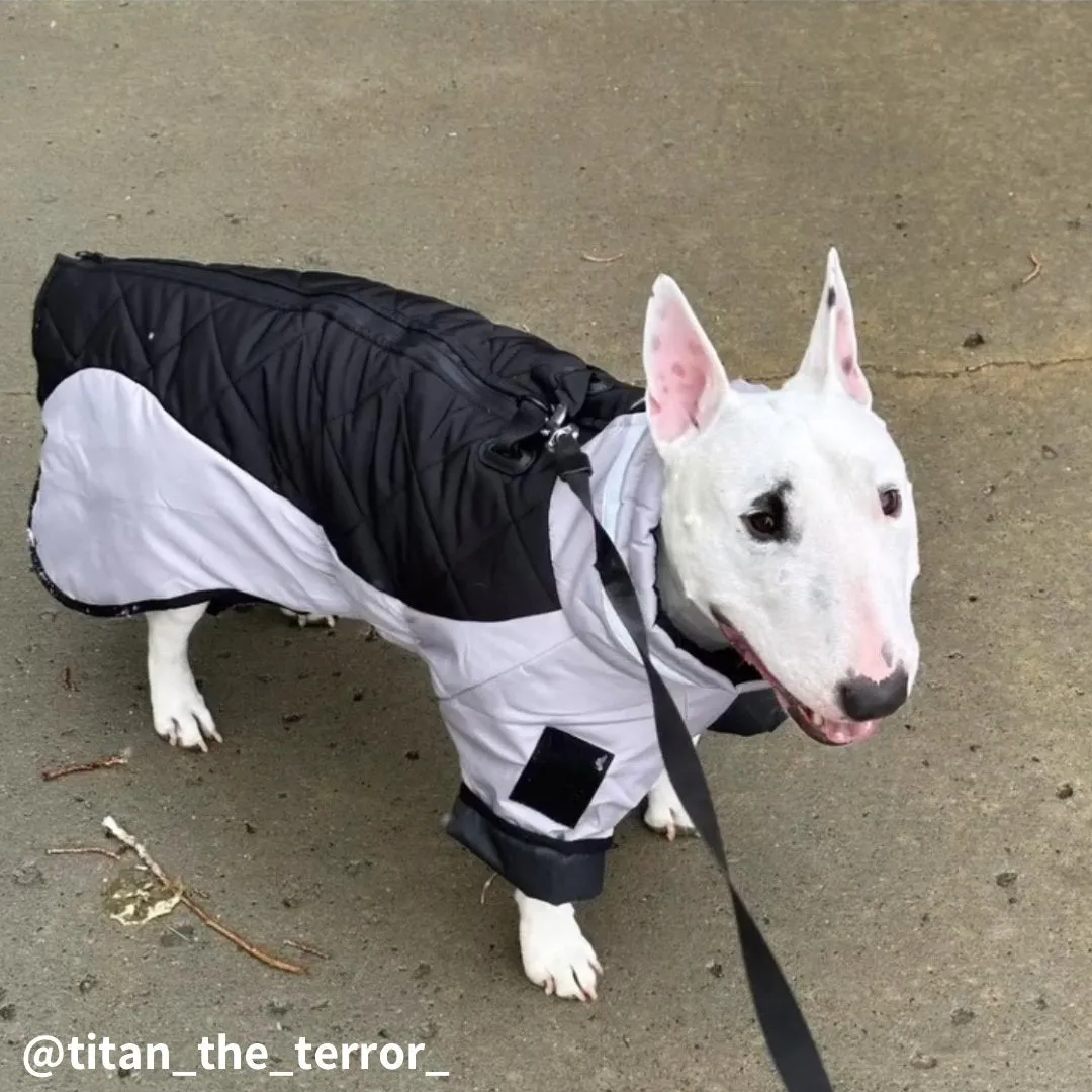 Warm Waterproof Dog Jacket