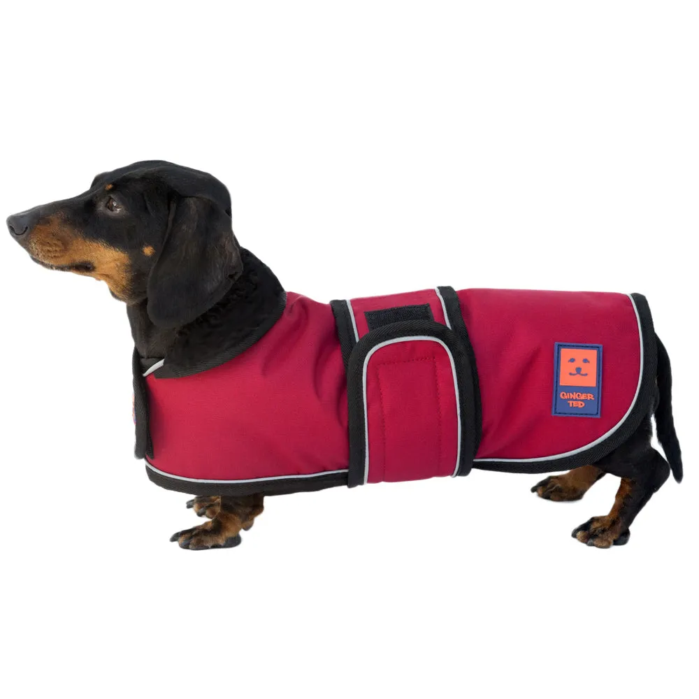 Waterproof Shower Lightweight Dachshund Dog Coat